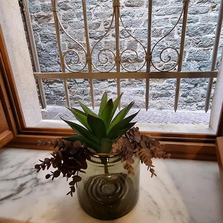 Apartment Vicinissimo Al Mare